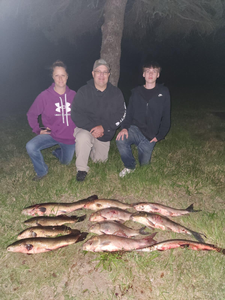 5 big fish caught while fishing in Elk Rapids