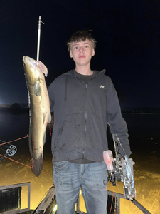 Bowfin fish caught while fishing in Elk Rapids