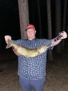 1 angler fishing in MI