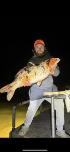 Lone angler enjoying fishing in Elk Rapids