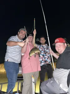 Anglers enjoying a fishing trip in MI