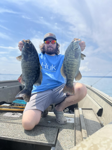 A photo showing two large gag grouper fish caught while fishing in Elk Rapids.