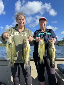 4 largemouth bass caught in Elk Rapids