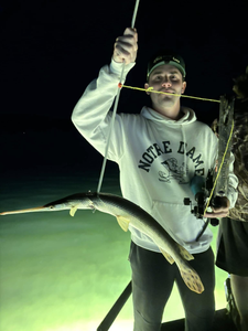 Longnose gar, a 26-inch freshwater fish, caught in Elk Rapids
