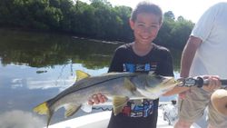 Fisherman holding a snook fish in Florida