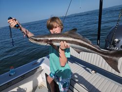 Cobia fish caught while fishing in Florida