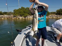 Snook fish caught while fishing in Florida