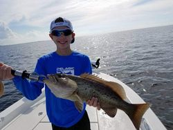 Gag Grouper, a big fish, caught while fishing in Florida
