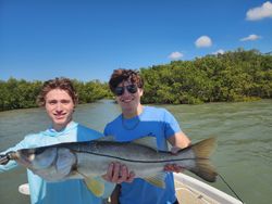 Snook fish caught during fishing tour in Florida
