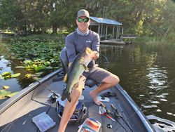 Photo of a largemouth bass caught in Tampa Bay