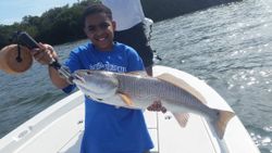 Redfish caught on fishing tour in Florida