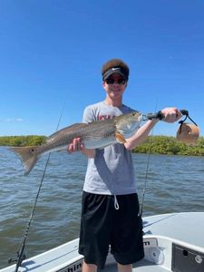Redfish caught on fishing tour in Florida