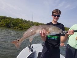 A fisherman holding a large redfish in Tampa Bay