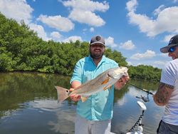 Redfish caught during fishing tour in Tampa Bay