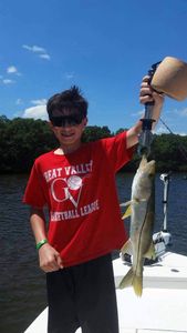 Snook fish caught in Florida