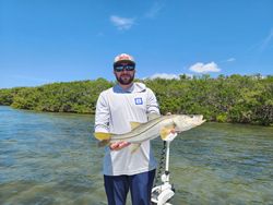 Snook fish caught fishing in Florida