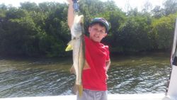 Snook fish caught while fishing in Tampa Bay