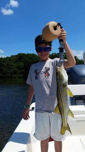 Snook fish caught by angler fishing in Tampa Bay