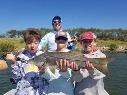 Snook fish caught on a fishing tour in Florida