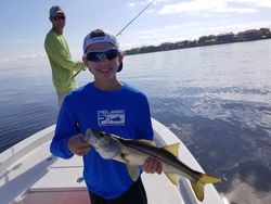 Snook fish caught during fishing tour in Tampa Bay