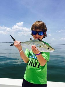 Angler holding a Spanish Mackerel fish in Florida
