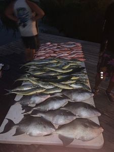 Gulf of Mexico Mixed Bag Fishing