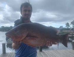 Huge Snapper in Pensacola