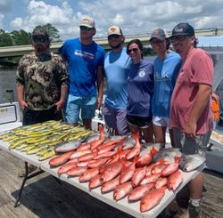 Fresh Caught Snapper in Florida