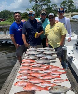 Mixed Bag Fishing in the Gulf of Mexico 