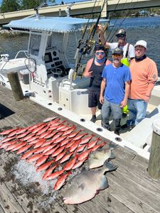 Snapper in Florida