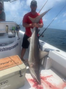 Dusky Smooth-Hound fish caught at Pensacola Beach