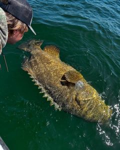 One fishing catch in FL
