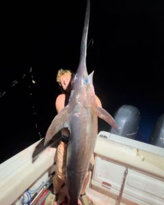 A gafftopsail sea catfish measuring 52 inches, caught on a fishing trip at Pensacola Beach.