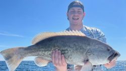 Photograph of a Gag Grouper, a 33-inch fish, caught while fishing at Pensacola Beach