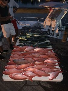 One person fishing at Pensacola Beach