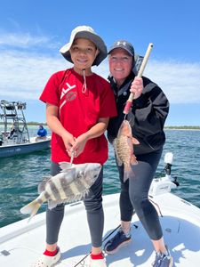 2 sheepshead and grey snapper fish caught while fishing in FL