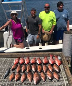 4 fish caught in FL while fishing