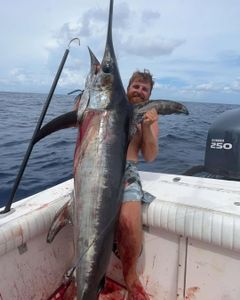 Swordfish caught while fishing in FL