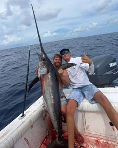 Swordfish caught at Pensacola Beach in Florida during fishing trip