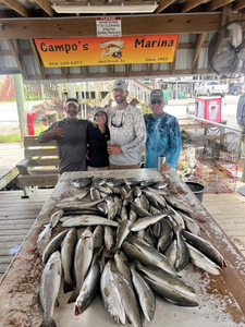 6 fishing rods with location St Bernard