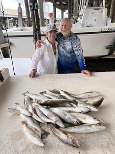 Atlantic mackerel, fishing in LA