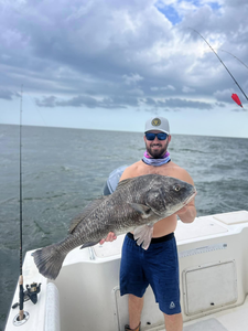 Black Drum fish caught while fishing in LA