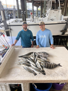 Three sheepshead, spotted weakfish, and black drum fish caught in LA