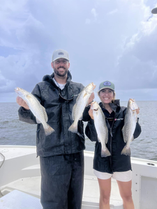 4 spotted weakfish, fishing at St Bernard