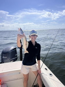 Spotted Weakfish, 18 inches, fishing in St Bernard