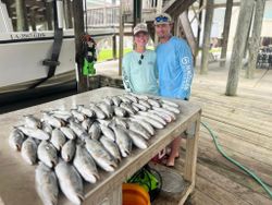 Two bluefish measuring 15 inches caught while fishing in St Bernard