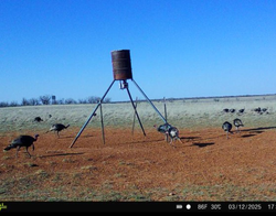 Adventurous hunting expedition in TX