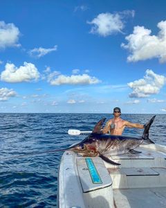 Swordfish fishing in Venice, Louisiana