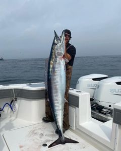 Wahoo fishing in Venice Louisiana
