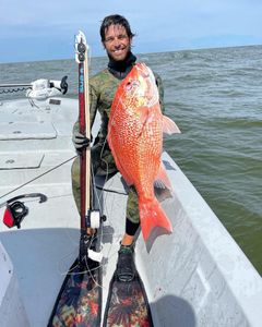 Red Snapper fishing in Venice Louisiana